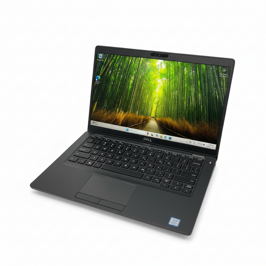 Dell Latitude 5401 14" Laptop, 16GB RAM, i5 9th Gen, 256GB SSD
